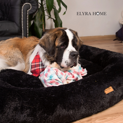 CAMA PREMIUM REDONDA ANTIESTRÉS + REGALO PARA TU MASCOTA