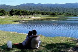 <em><strong>Laura </strong></em><strong>Pérez</strong>